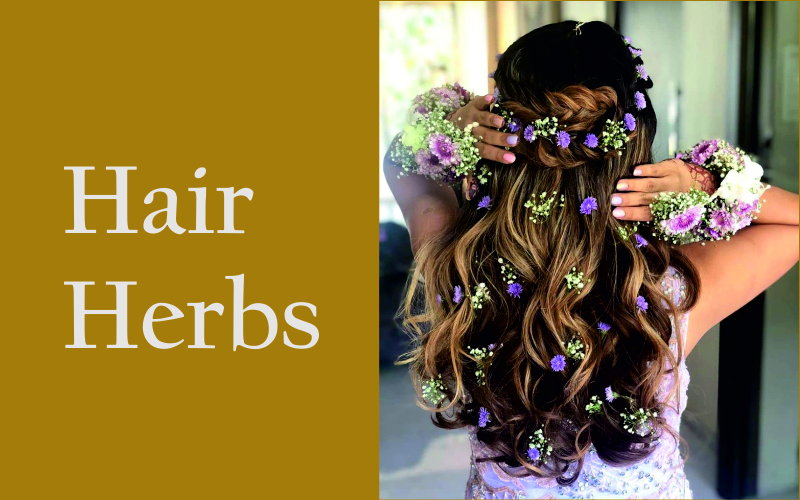 best-hair-herbs